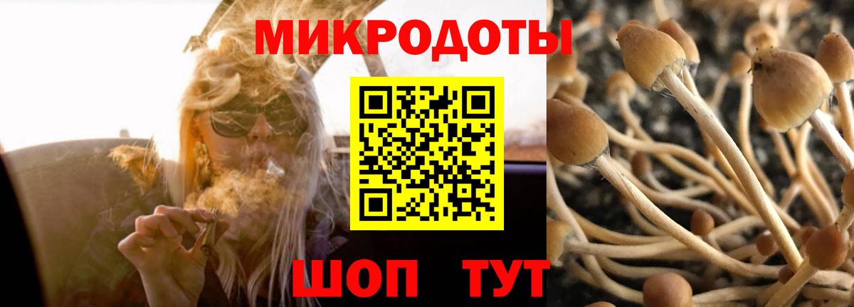 Галлюциногенные грибы Cubensis  Вход с VPN  Ипатово 